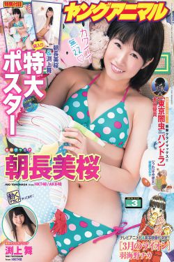 金大班全集